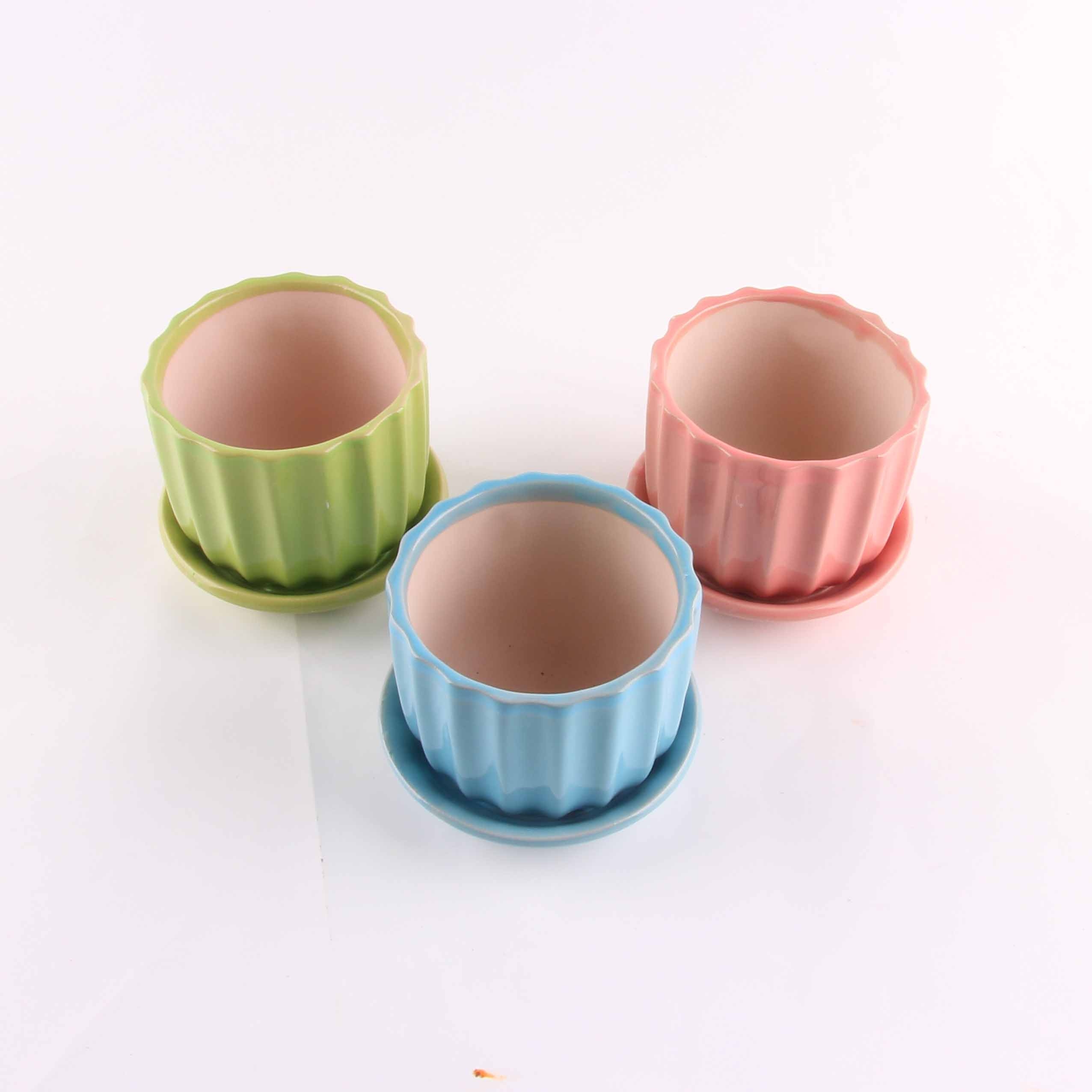 Mini Flower Pot (Con Tray)