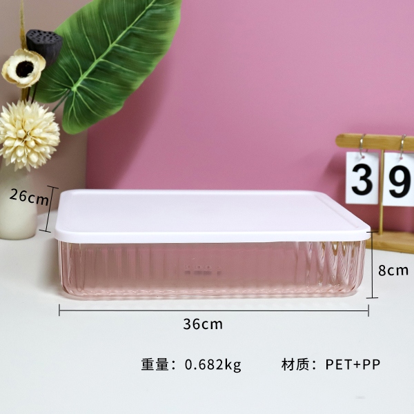 6503 Caja de Almacenamiento PET Transparente (Pequeña) 3