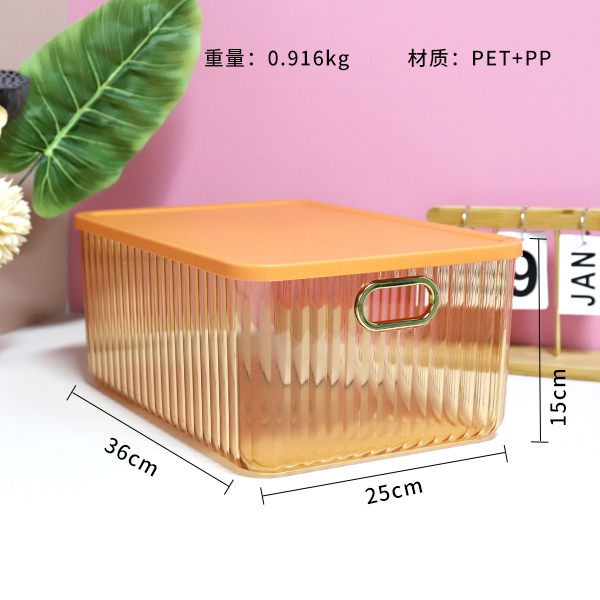 6504 Caja de Almacenamiento PET Transparente (Grande) 3