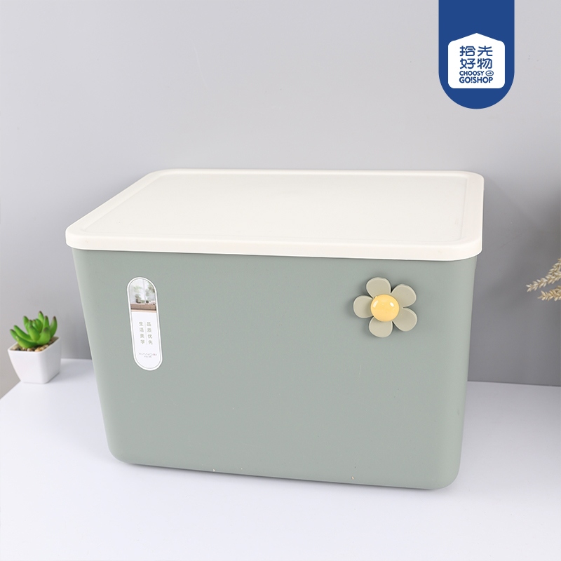 Caja de Almacenamiento Grande 1199 2
