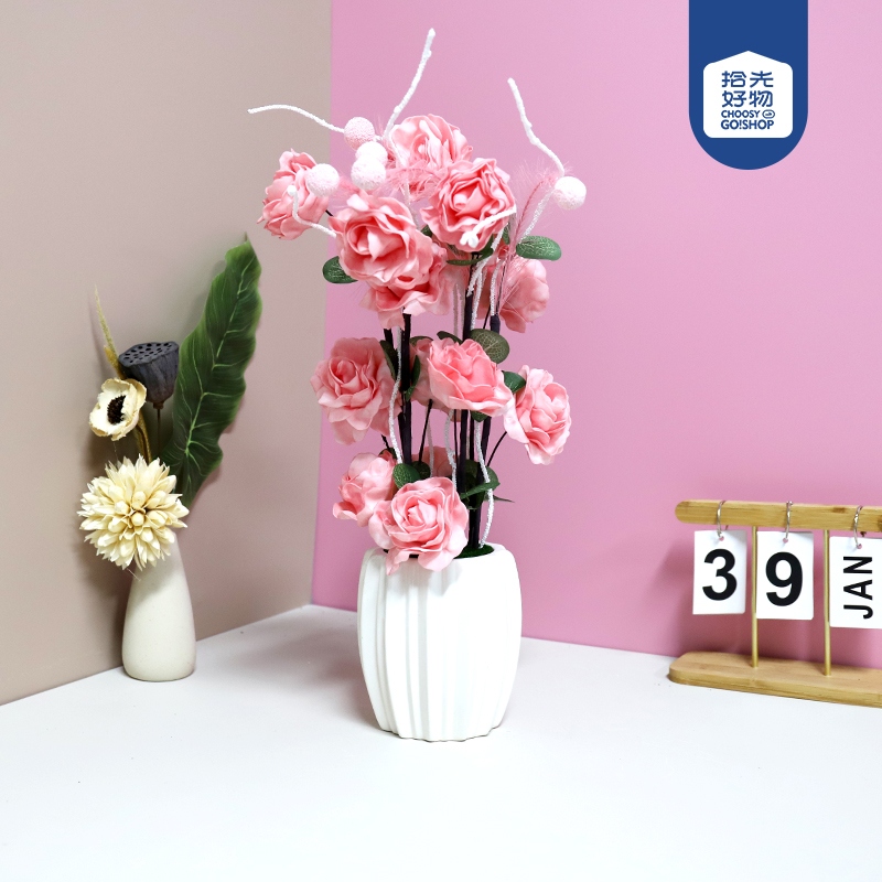 222 Caricón Rabino Basura 6