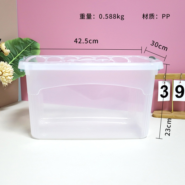 Caja de Almacenamiento Transparente 819-T 3