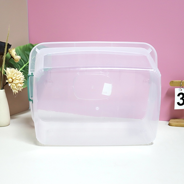 Caja de Almacenamiento Transparente 819-T 5