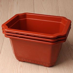 250 Rectangular de Flores Rojas