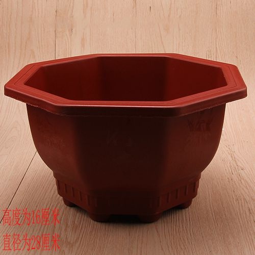 831 Pot de Flores Rojas Extra Grande Octagonal