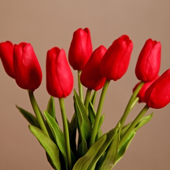 Tulipa Artificial 3