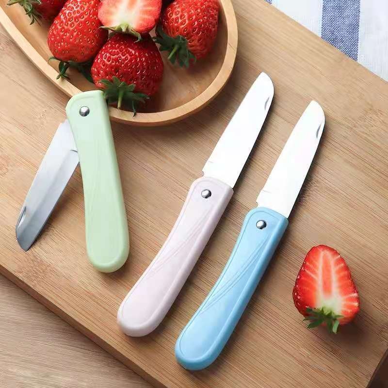 Color de Macaron Folding Fruit Knife 2