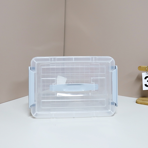 811 Caja de Almacenamiento Portátil Transparente 4