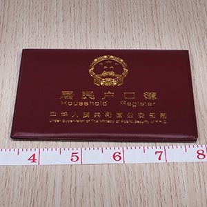 Cubierta de Registro de Hogares 2