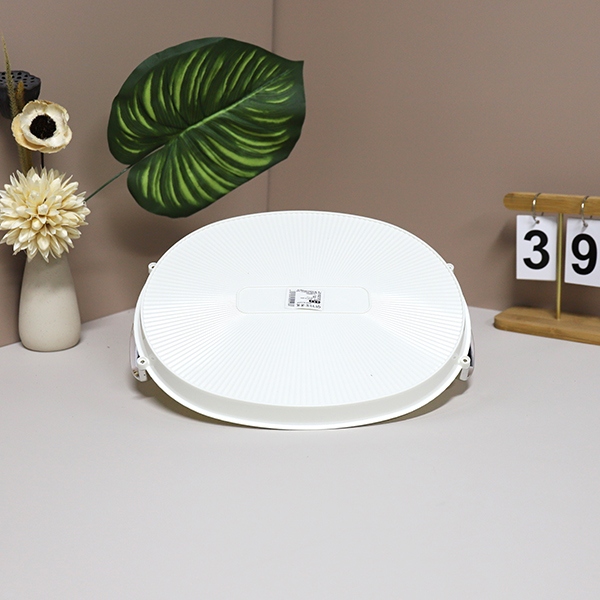 6513-C de la Bandeja de Huevo Pequeño Tamaño 4