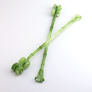 Bamboo Joint Four-wheel Itching Stick