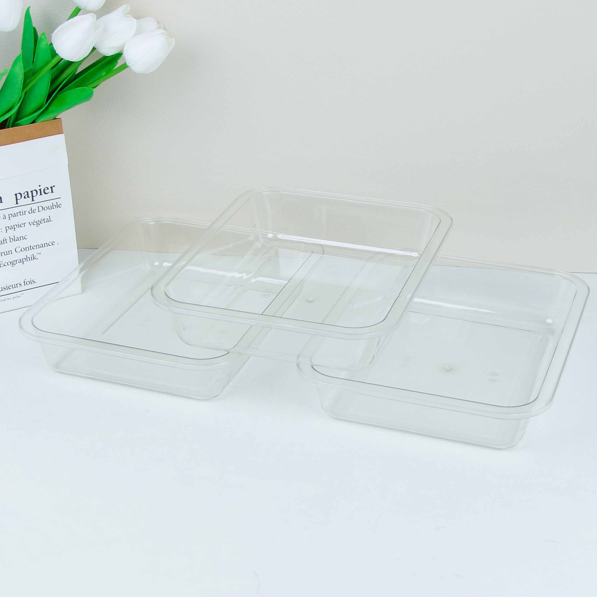 HC6-06 Transparent PET Ice Basin 2