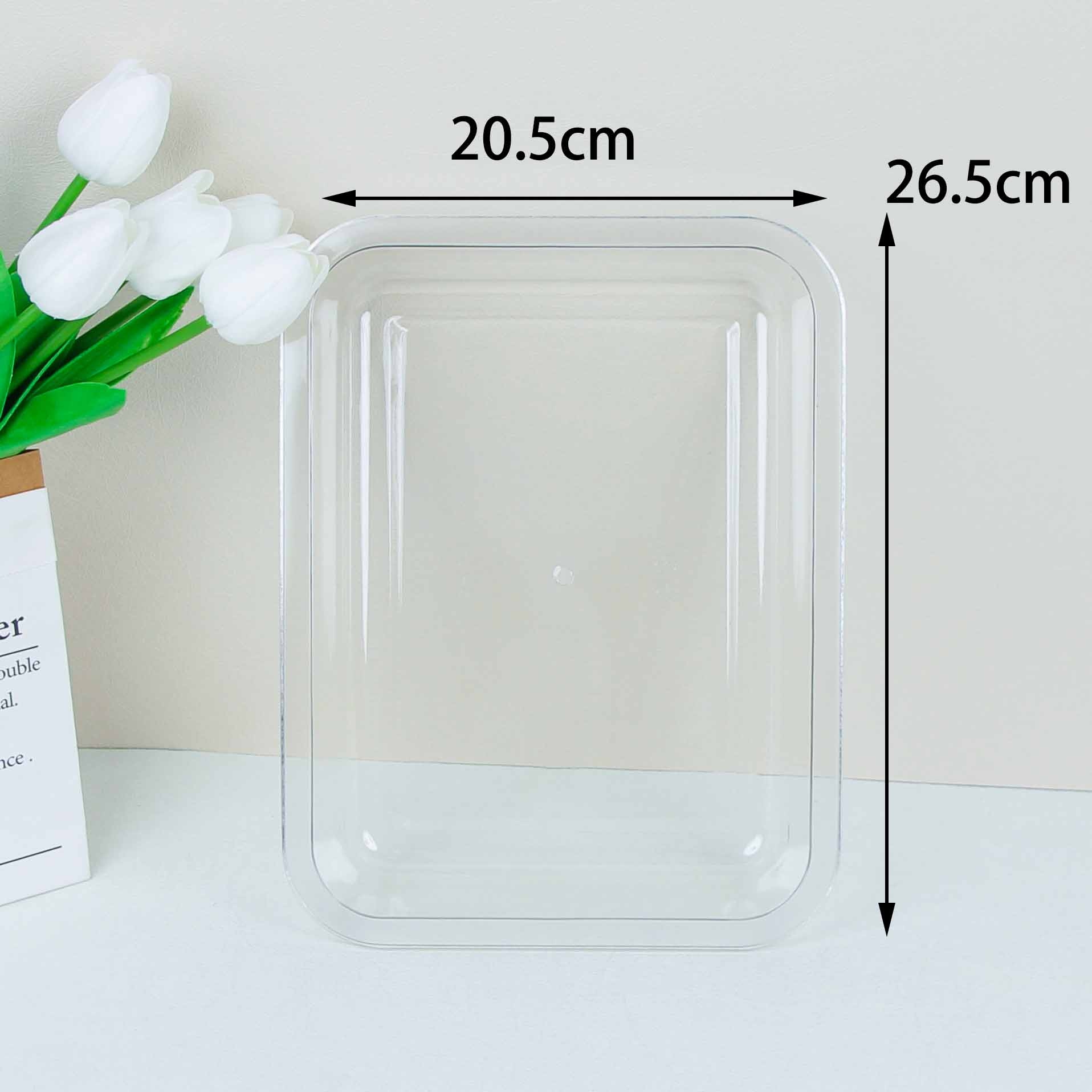 HC6-06 Transparent PET Ice Basin 3