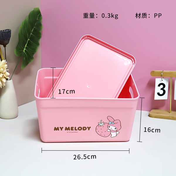 Caja de Almacenamiento Sanrio (Tamaño Pequeño) 3