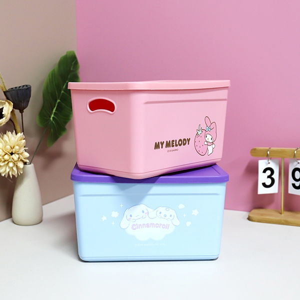 Caja de Almacenamiento Sanrio (Tamaño Pequeño) 4