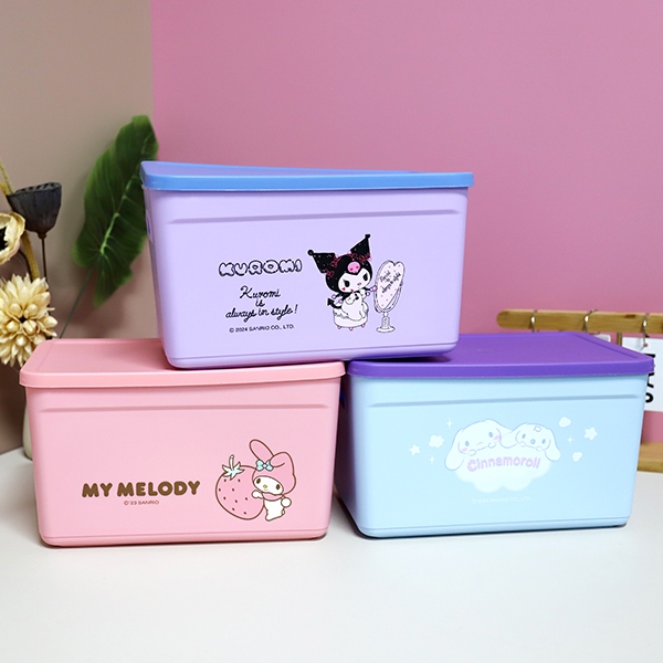Caja de Almacenamiento Sanrio (Tamaño Pequeño) 5
