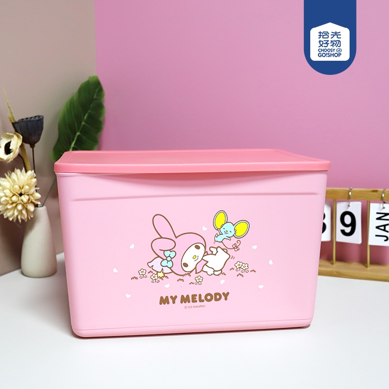 Caja de Almacenamiento Sanrio (Large)