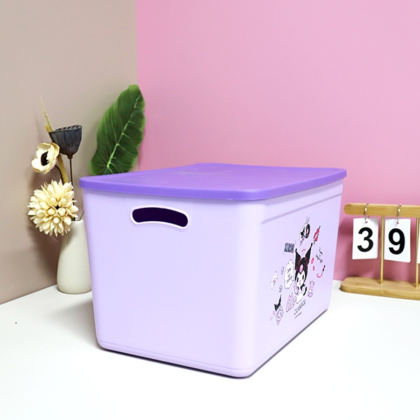 Caja de Almacenamiento Sanrio (Large) 4