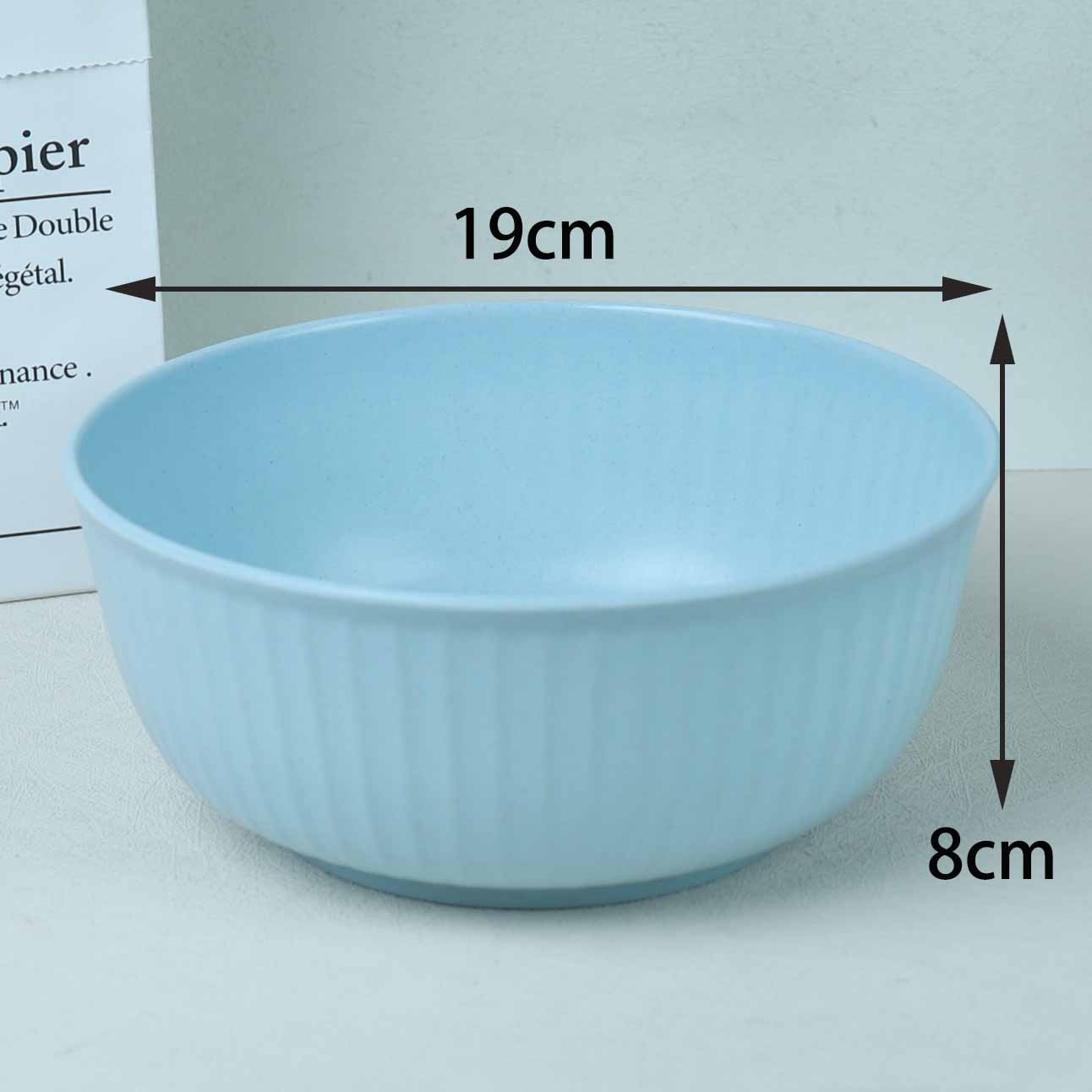 3057 Faux Porcelain Bowl 4