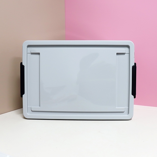 Caja de Almacenamiento de Color Sólido 3093D 45L 4
