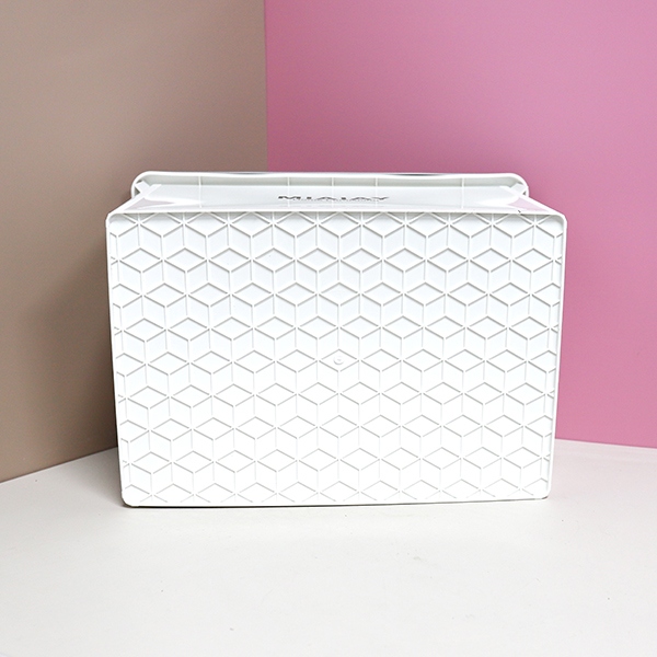 Caja de Almacenamiento de Color Sólido 3093D 45L 5