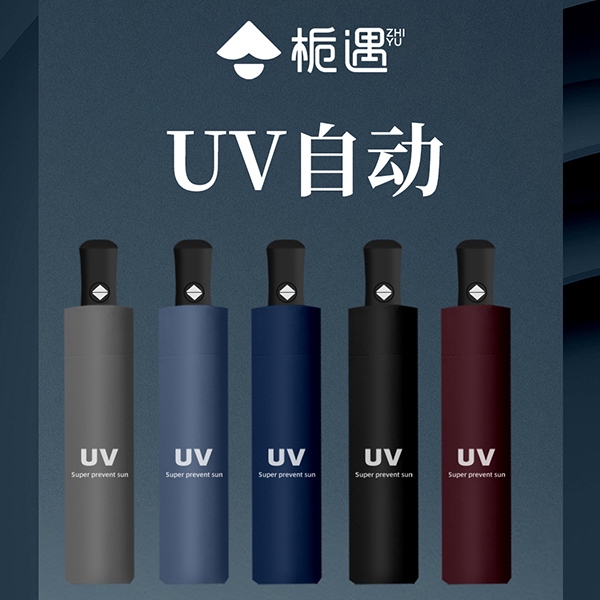 ZY8200 Vinilo UV Paraguas Automática (Mixed) 4