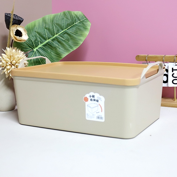 322 Caja de Almacenamiento de Tamaño Pequeño 4