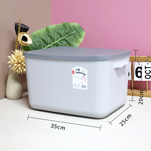 331 Caja de Almacenamiento Pequeña Con Tapa 3