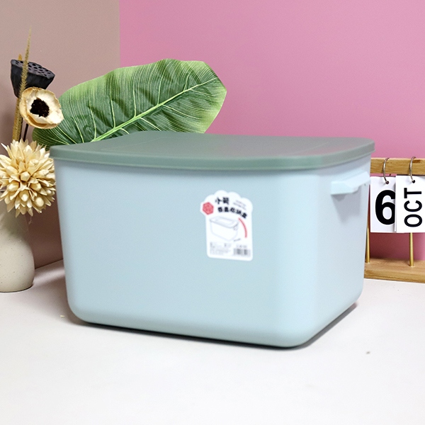 331 Caja de Almacenamiento Pequeña Con Tapa 4
