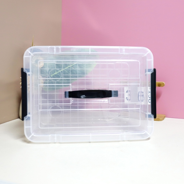 420 Caja de Almacenamiento Transparente 4