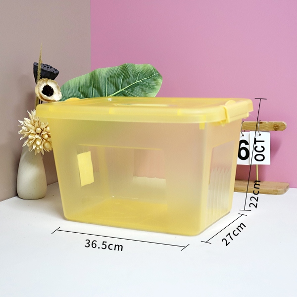 528 Caja de Almacenamiento Transparente Grande 3