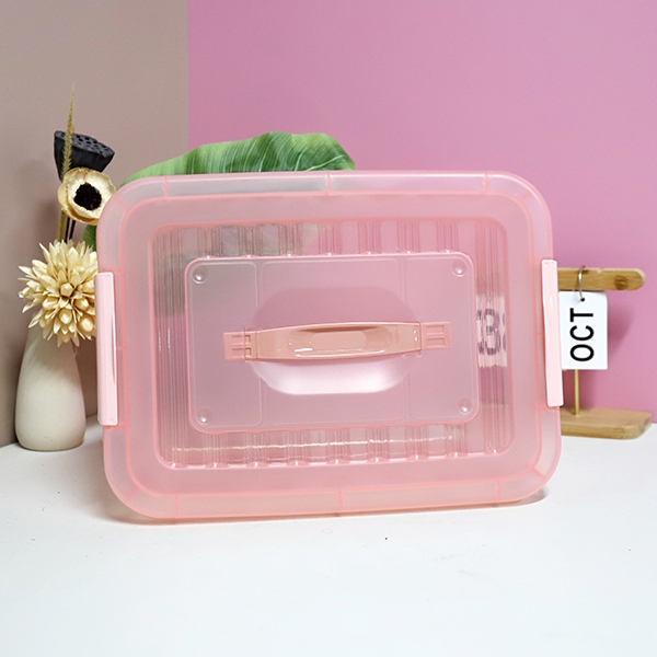 528 Caja de Almacenamiento Transparente Grande 4