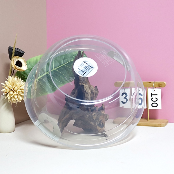 616 Oso Lavabo Transparente Binaural 5