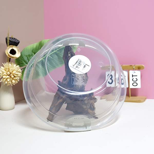 615 Oso Lavabo Transparente Binaural 5