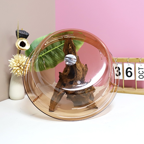 526 Albaricoque Jin Puede Lavarse 34CM 5