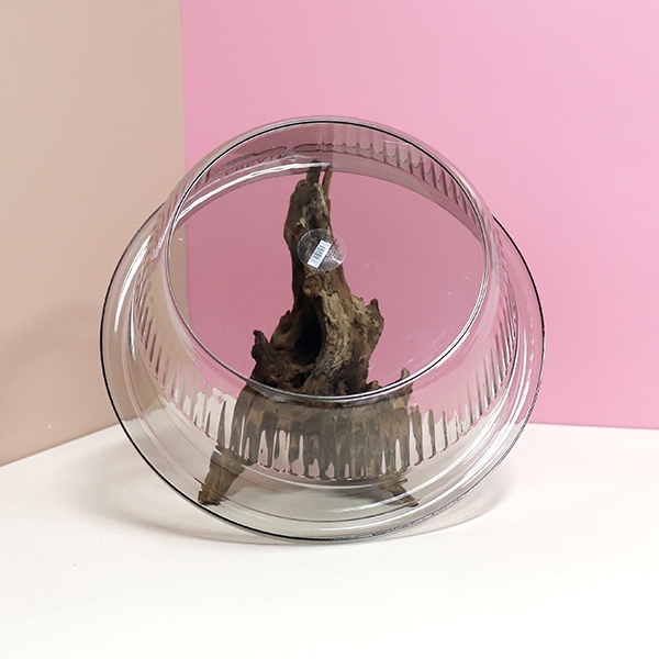 Lujo Ligero-957pet Lavabo de Moda 5