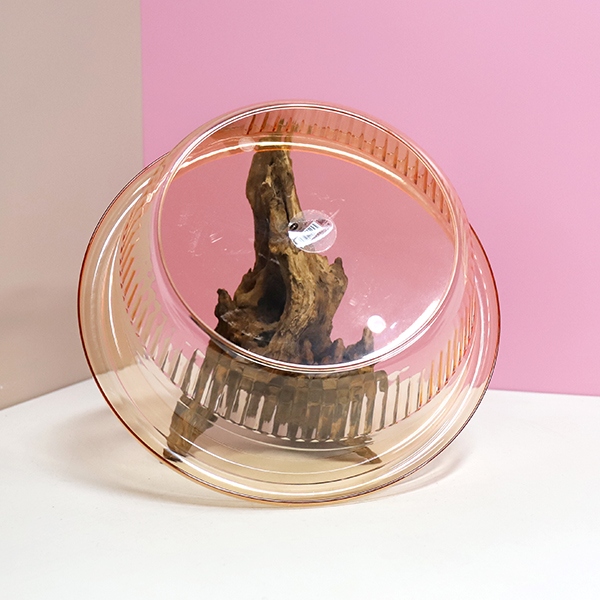 Lujo Ligero-958pet Lavabo de Moda 5