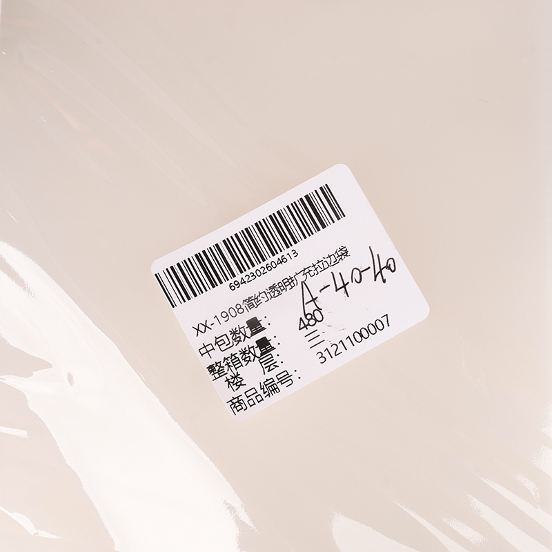 XX-1908 Simple Transparent Extended Side Bag 5