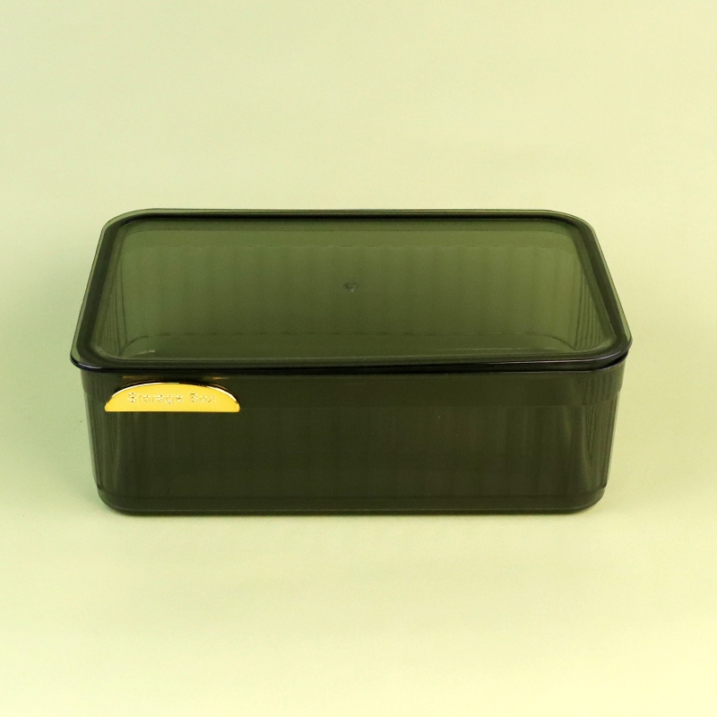 2229 Caja de Almacenamiento Transparente Con Tapa