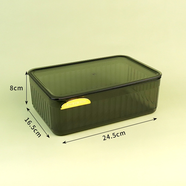 2229 Caja de Almacenamiento Transparente Con Tapa 3