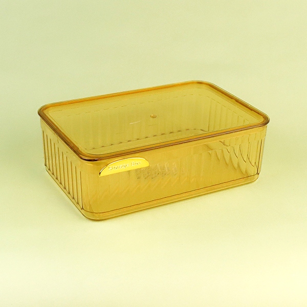 2229 Caja de Almacenamiento Transparente Con Tapa 4