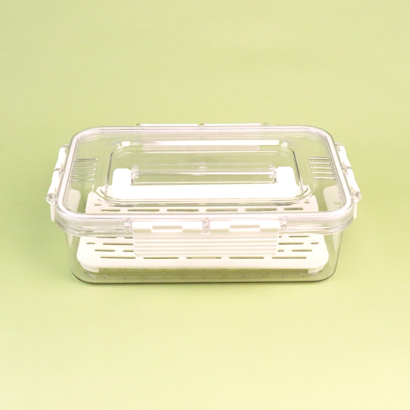 2366 Pequeño Tamaño Bajo Hielo Caja de Almacenamiento Transparente (Sin Compartimento)