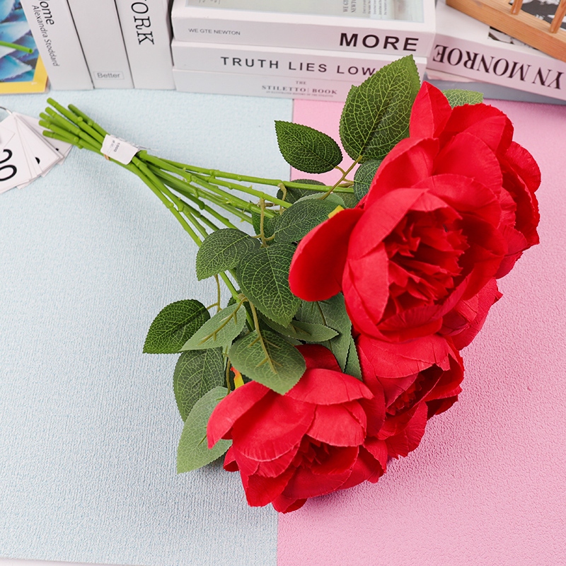 Simulación de Rosas Ricas 2