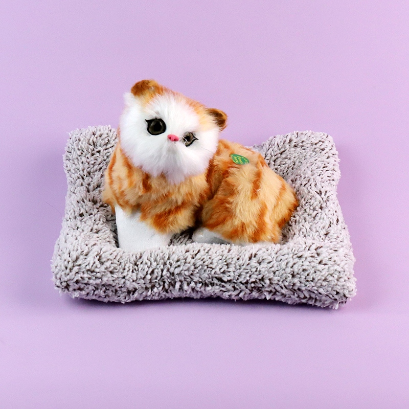 6976-3 Cats