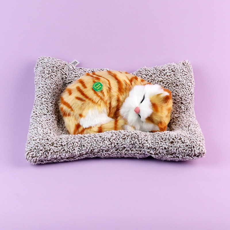 6976-4 Gatos Dormidos 2