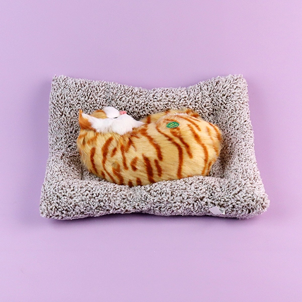 6976-4 Gatos Dormidos 4