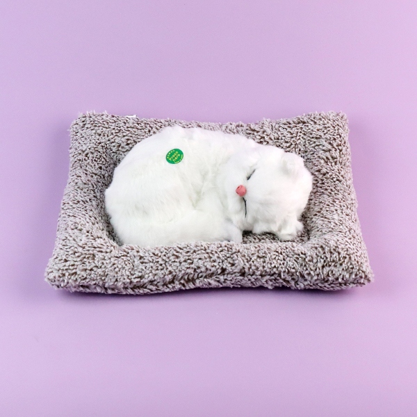 6976-4 Gatos Dormidos 5