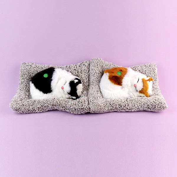 6976-4 Gatos Dormidos 6