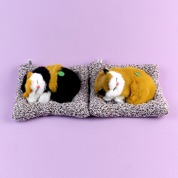 6976-1 Gatos Durmientes 4