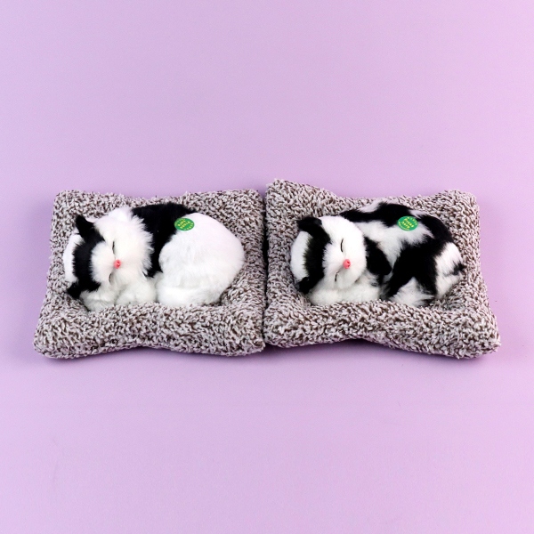 6976-1 Gatos Durmientes 5
